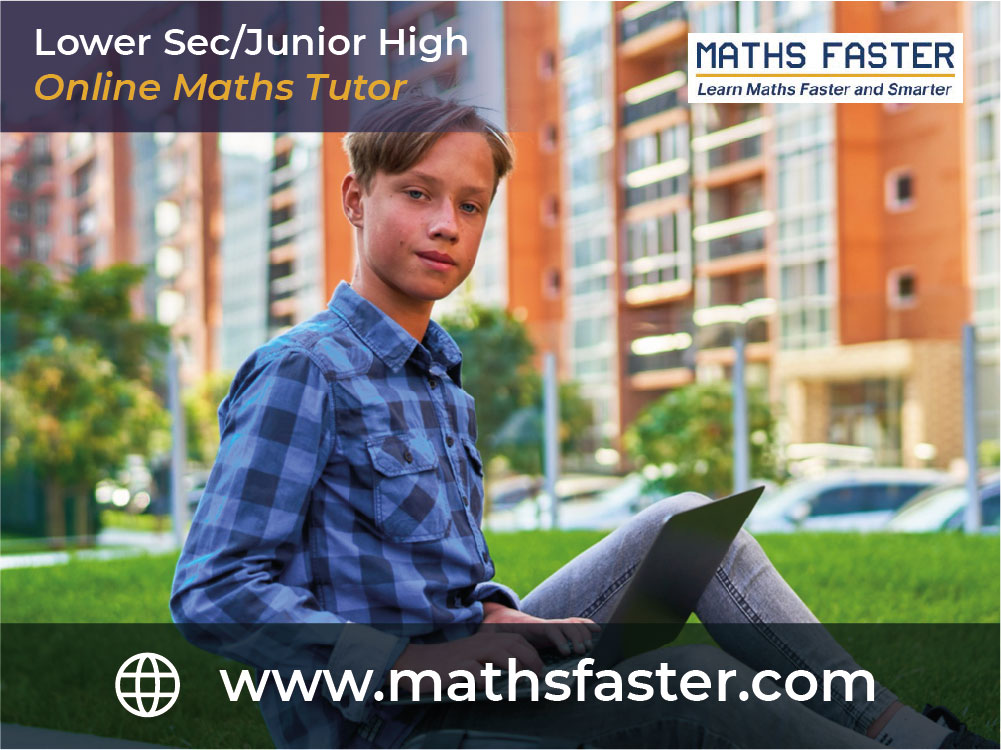 lower-secondary-junior-high-online-maths-tutor